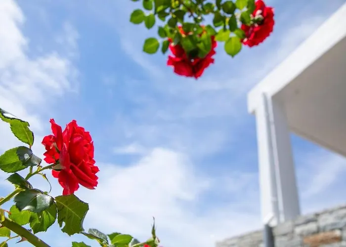 Seaview In Nimporio * Animborio